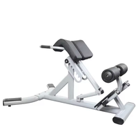 Équipement d'exercice de gymnastique commerciale Machine de fitness avec plaques de poids comprend banc d'extension arrière et chaise romaine