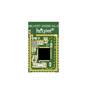 Holyiot BLE 5.3 Low Energy For Smart Games Medical Wearable Fitness IOT Module Blue Tooth Nordic NRF52832 Module