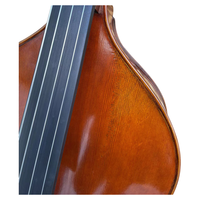 D109 Bass ganda profesional menyala kualitas tinggi tingkat kinerja profesional