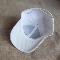 Gorras de Béisbol Deportivas Casuales para Mujer, con Logotipo Bordado en 3D Personalizado, de Pana, 6 Paneles, Estructuradas, con Visera Curva, en Oferta