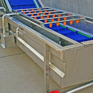 Máquina de Lavado de Burbujas para Frutas y Verduras, Máquina de Lavado de Burbujas para Mango, Aguacate, Chile, Cebolla, Papa - Product Image 5