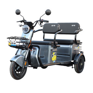 Venta caliente 60V 20AH batería handicap scooter bicicleta remolque triciclo eléctrico con 2 asientos - Product Image 2