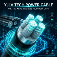Câble d'alimentation isolé en XLPE en aluminium, blindé ou non blindé, avec gaine en PVC 0,6/1 kV pour la distribution d'énergie souterraine