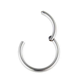 G23 Titan bản lề Hoop phân khúc bấm vào Vòng mũi môi xoắn ốc tai lá chắn sụn dái tai Stud mũi xuyên đồ trang sức Giao hàng nhanh - Product Image 4