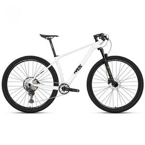 Biciclette da Montagna in Alluminio all'Ingrosso con Specifiche Personalizzabili, Sistema EDS a 13 Velocità per Rivenditori di Articoli Sportivi e Ordini OEM - Product Image 1