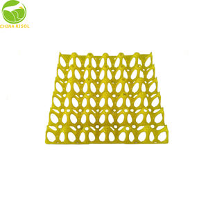 Non facciamo vassoi per le uova. Creiamo <span class=keywords><strong>risolutori</strong></span> di <span class=keywords><strong>problemi</strong></span> per la tua attività di pollame. - Product Image 3
