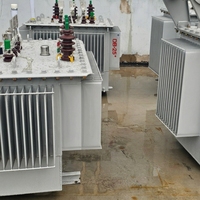 Transformateur de distribution triphasé à faible perte, immergé dans l'huile, à réservoir scellé, Gansu Vitesen S20M 10kV ONAN