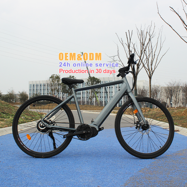 Oem Factory Mid Drive Motor Ebike Belt Drive 750W All Terrain Electric Mountain Bike for Adult Gravel Ebike Superlight Gravel