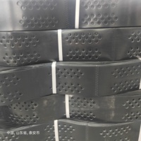Geoceldas de HDPE de 150-300 mm de altura, geoceldas de nido de abeja para grava, geoceldas para entradas de vehículos