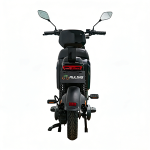 <span class=keywords><strong>Vélo</strong></span> Électrique de Commutation à Moteur Brushless pour Adultes, Vente en Gros, Source Transfrontalière pour le Commerce Extérieur - Product Image 5