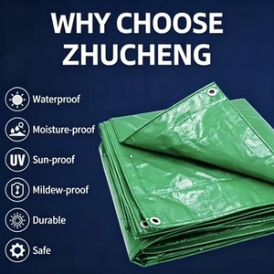 China Green Color PE <strong>Poly</strong> Tarpaulin Price - Product Image 3