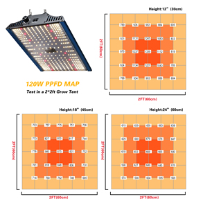 LED Grow 240W IR UV RED <span class=keywords><strong>Samsung</strong></span> LM301H Pro Version LED Grow Light Top Bin 3000K mix 5000K 4 canaux 4 interrupteurs Grow Light - Product Image 6