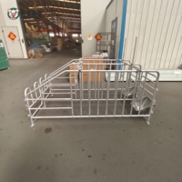 Fabricant de boxes de gestation pour truies, vente directe usine, équipement d'élevage porcin en acier galvanisé, vente en gros, export