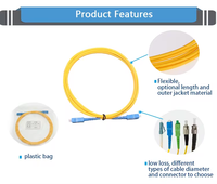 Factory Price Simplex G652D Single Mode Optical Fiber Patch Cord SC-SC 1M UPC PVC 3.0mm Tensile Strength 200N FTTH IP Network