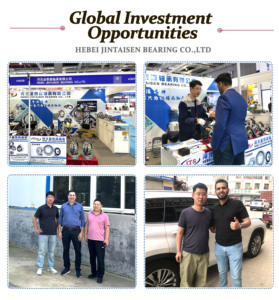 डीप ग्रोव बॉल असर 6005 6006 6007 2rsd du 2rsh 25x47x12mm c3 क्रोम स्टील रेडियल सील शील्ड - Product Image 4