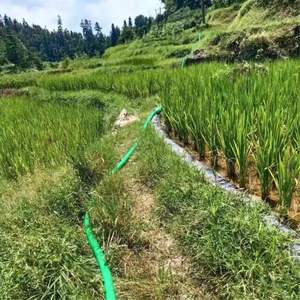 للبيع بالجملة خرطوم مياه مسطح أخضر عالي الضغط للري الزراعي والري والانفجار خرطوم مياه بلاستيكي مقاوم للانفجار - Product Image 5