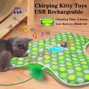 Mainan kucing interaktif dapat diisi ulang, bulu tersembunyi bergerak, tikus asli melengking, mainan kucing kucing diaktifkan sentuhan - Product Image 4