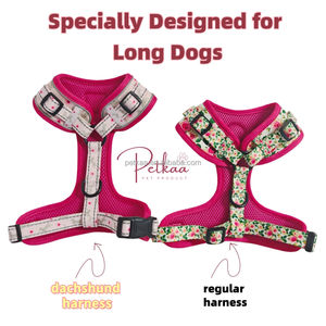 Aksesoris anak anjing <span class=keywords><strong>Dachshund</strong></span> <span class=keywords><strong>Harness</strong></span> anjing jenis panjang sosis disesuaikan tidak ada tarik <span class=keywords><strong>Harness</strong></span> anjing untuk <span class=keywords><strong>Dachshund</strong></span> - Product Image 2