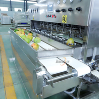 Xinlongjia Nieuw Ontwerp Ananas Mango Groente Fruitsnijder Snijmachine Snijmachine Snijmachine