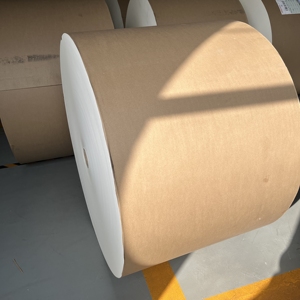 Rouleau de papier enduit de PE blanc et kraft de qualité alimentaire 150 à 350 GSM - Product Image 5