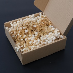 <span class=keywords><strong>Flores</strong></span> de Gypsophila Preservadas 50g Venta <span class=keywords><strong>al</strong></span> <span class=keywords><strong>por</strong></span> <span class=keywords><strong>Mayor</strong></span> de Fábrica <span class=keywords><strong>Flores</strong></span> <span class=keywords><strong>Secas</strong></span> Naturales Ramo de <span class=keywords><strong>Flores</strong></span> de Aliento de Bebé - Product Image 1