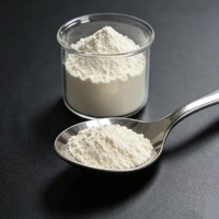 L-Thréonine de marque JIUCHONG, qualité alimentaire 98,5 %, poudre d'acide aminé CAS 72-19-5, 25 kg/sac, favorise une croissance saine pour l'alimentation des volailles et des porcs
