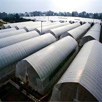 24m Grande maison de culture de plain-pied à une couche Couverture hydroponique stable en PE Banc roulant Serre polytunnel Cadre en acier Toit arqué