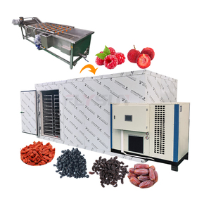 Máquina Deshidratadora Industrial de Frutas: Higos, Carambola, Nuez Mosqueta, Frambuesa, Espino Amarillo - Product Image 1