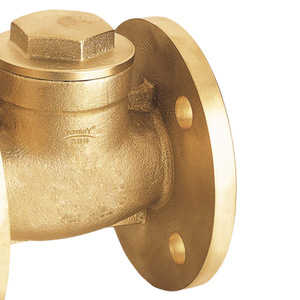 Guangdong Magnesium Special Brass Flange Check Valve 409 Lift Type For Water Flow Control Straight Through Design - Product Image 1
