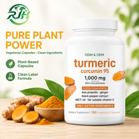 Capsules de curcuma et curcumine OEM, extrait végétal, antioxydant, soutien cognitif, complément alimentaire, 120 unités