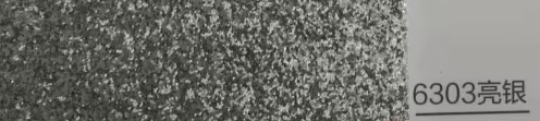 6302 silver