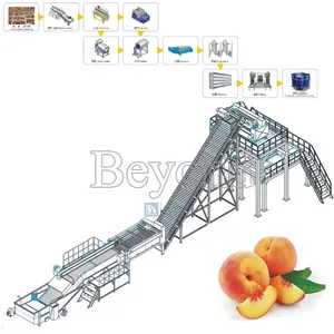 Máquina de clasificación de acero inoxidable para verduras, clasificación de piña