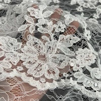 Tissu en dentelle Chantilly transparent à sequins, broderie florale 3D gaufrée, aspect gaufré premium, cordon blanc, pour mariage