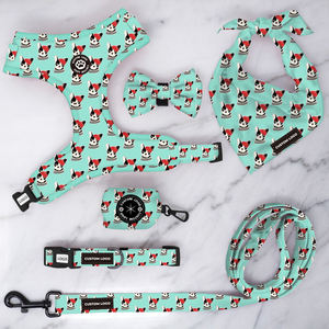 Aksesoris Harga Murah Cetakan Kustom Poliester Tali Lembut Kekang Anjing Peliharaan Kecil dan Kerah - Product Image 2