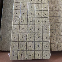 Cubes de culture hydroponiques Shengding pour serres commerciales, supports de clonage 25*25*25mm