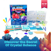 BIG BANG SCIENCE Fabricant de jouets ODM/OEM Kit de culture de cristaux DIY Jouet éducatif STEAM de chimie pratique pour enfants