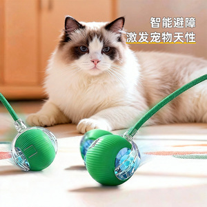 Jouet automatique pour chat avec corde rouge, 5 minutes d'autonomie en veille pour jeu interactif avec animaux de compagnie - Product Image 3
