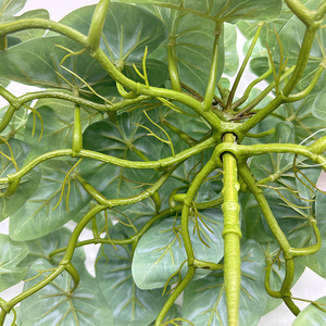 Plante Artificielle Petite Plante Bonsaï Feuilles d'<span class=keywords><strong>Arum</strong></span> Aquatique Feuilles de Pothos Artificielles Feuilles de Vigne Artificielles Décoration d'Hôtel Feuilles de Patate Douce - Product Image 6