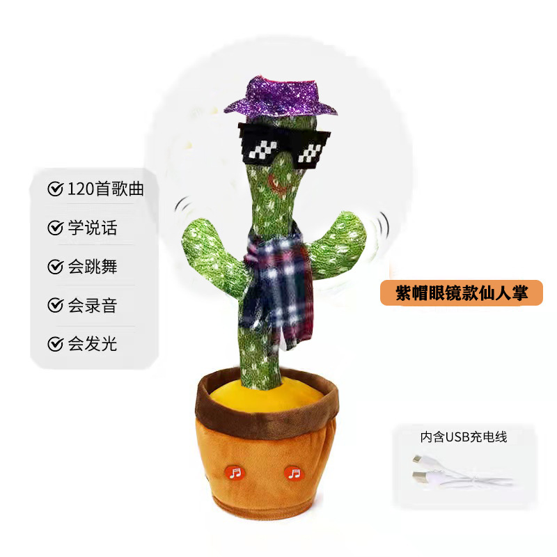 Cactus con occhiali e cappello viola