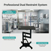 Table de toilettage pour animaux de compagnie hydraulique électrique professionnelle avec hauteur réglable et surface antidérapante pour chiens et chats