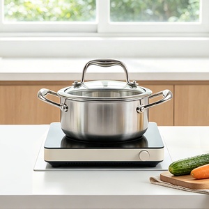 Induction Compatible Minimalist Design Stainless Steel Soup Pot with Glass Lid - Product Image 1