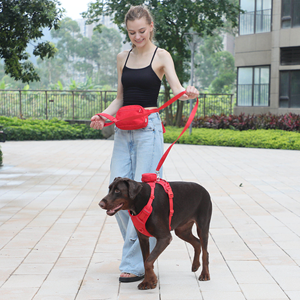 Ensemble laisse et collier pour chien en velours côtelé, ensemble de promenade réglable pour chiot, équipement de promenade durable pour chiens, chiots et petites races - Product Image 3