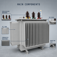 Transformateur de distribution de puissance immergé dans l'huile S22, triphasé, 12,47 kV, multi-enroulements, 50 Hz, 60 Hz