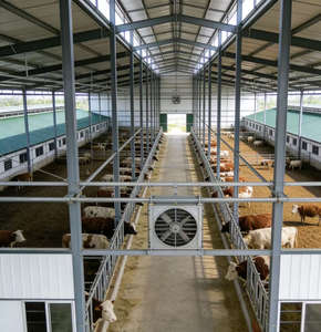 Стальные конструкции ZHILIAN: Недорогие, простые в монтаже, сборные легкие стальные каркасы, сертифицированные CE, устойчивые к коррозии, для высокопроизводительных ферм - Product Image 3