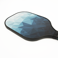 Raquette de pickleball en fibre de carbone T700, ensemble complet, approuvée par USA Pickleball, 16 mm, nid d'abeilles en polymère, 220 g