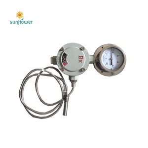 산업용 SS 부수적 온도계 게이지 - Product Image 4