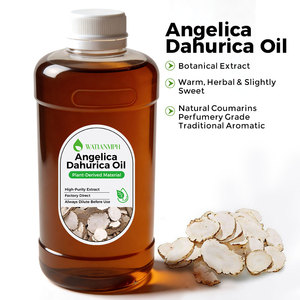 <span class=keywords><strong>Olio</strong></span> di Angelica Dahurica Distillato a Vapore da Radici Essiccate, Profumo Caldo di Radice Erbacea per Diffusori di Aromi e Produzione di Sapone - Product Image 2