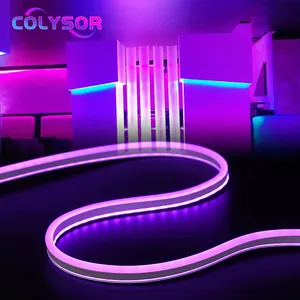 COLYSOR Lampu Neon Strip LED Gym Kasino Pita Kartu Bersinar Samping Kustom Pabrikan Tiongkok