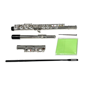 <span class=keywords><strong>Flauta</strong></span> Dulce Plateada de 16 Orificios de la Marca Aiersi, Instrumento Musical de Viento de Latón con Estuche, Logotipo Personalizado, Hecho en China - Product Image 4
