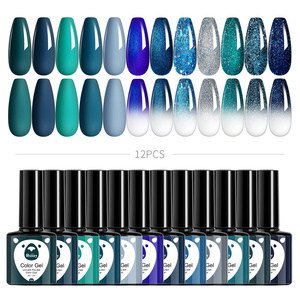 Ensemble populaire de vernis à ongles en gel 12 pièces, effet œil de chat, pailleté, professionnel, avec outils de peinture UV - Product Image 6